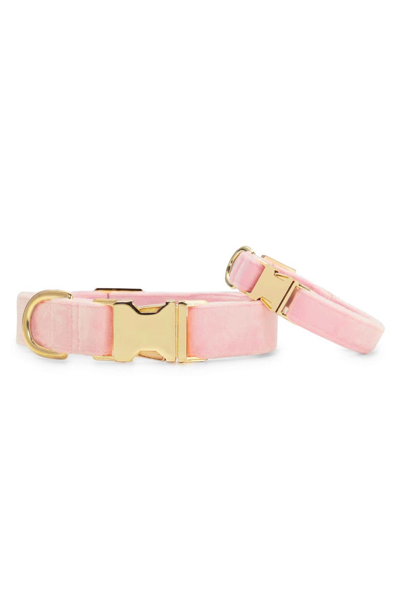 The Foggy Dog Velvet Dog Collar, Main, color, Pink