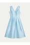 selected Pale Blue