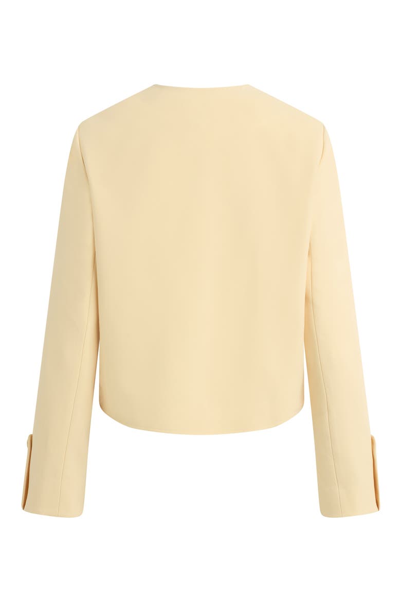 The Aurora Collarless Jacket, Alternate, color, BLONDIE