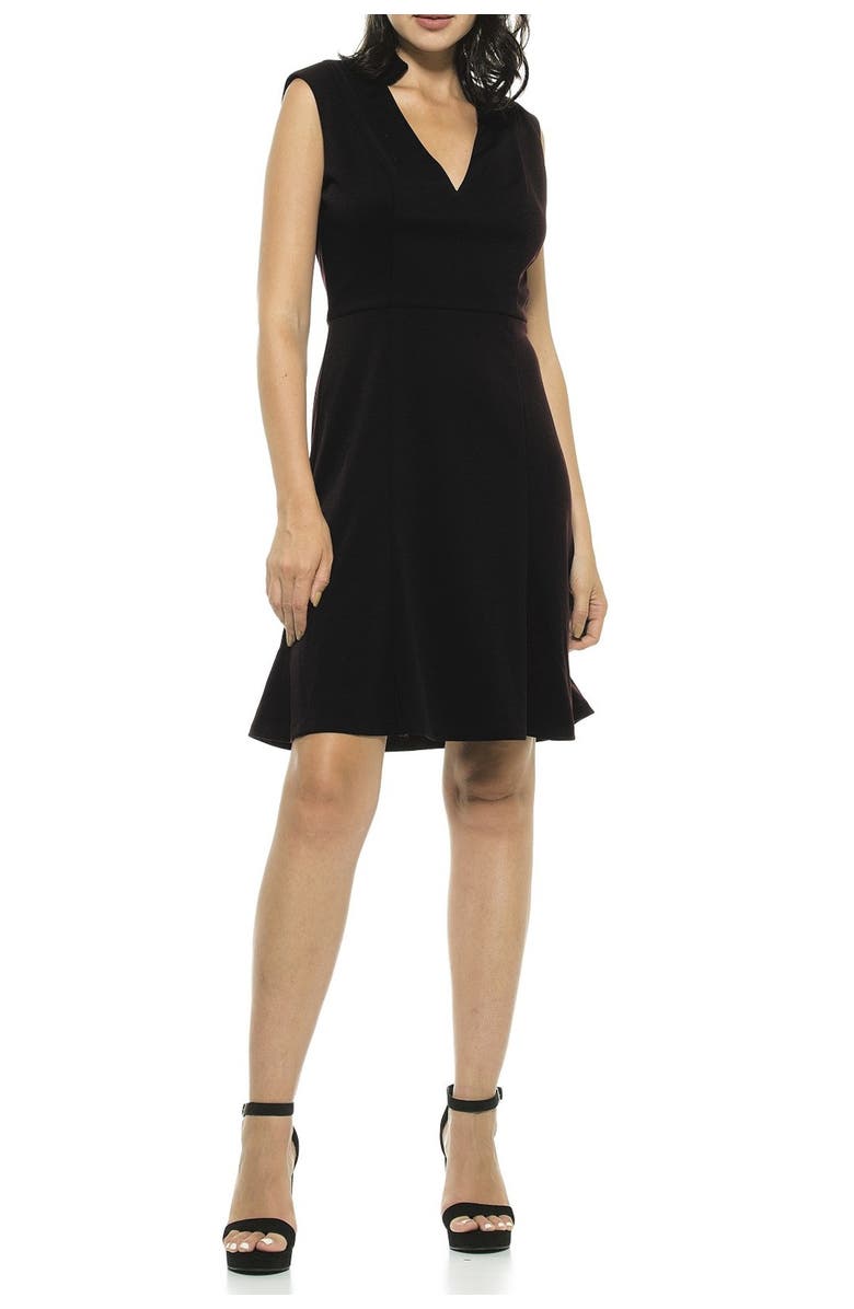 Alexia Admor Adelyn V-Neck Fit & Flare Dress, Main, color, 