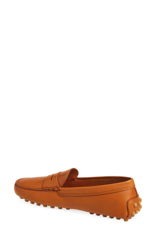 Tod's Gommino Driving Shoe In Brown