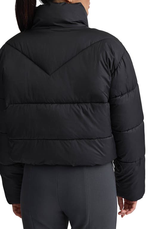 Nvlt Stand Collar Crop Puffer Jacket In Black