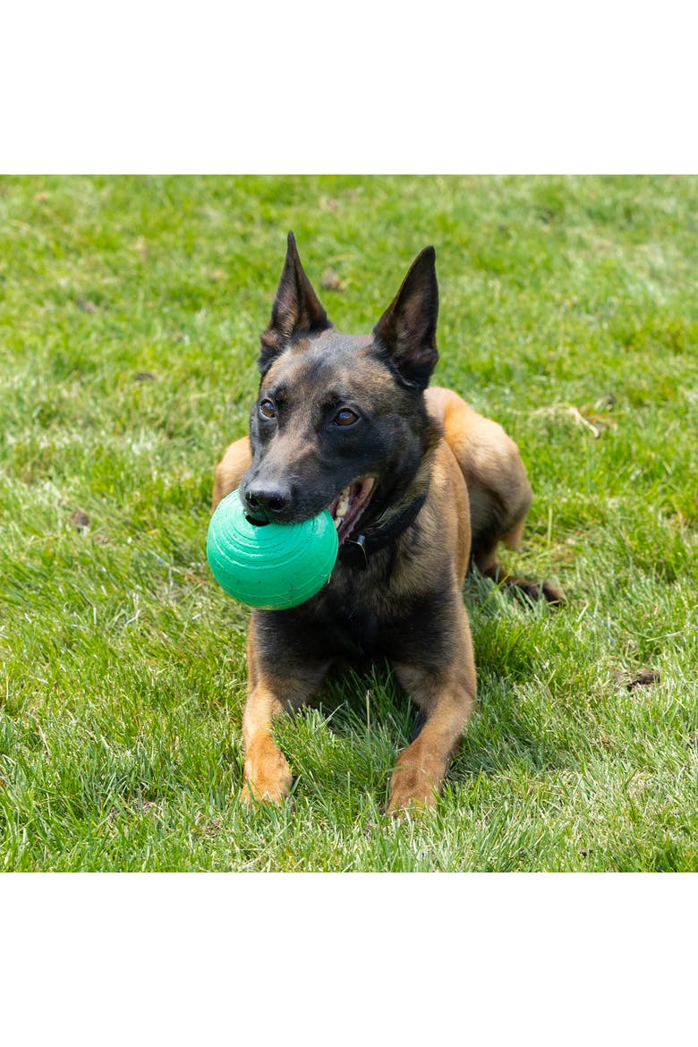KoreFlex Ball, 4.75 Inches, Large, Green, Dog Toy, Alternate, color, Green