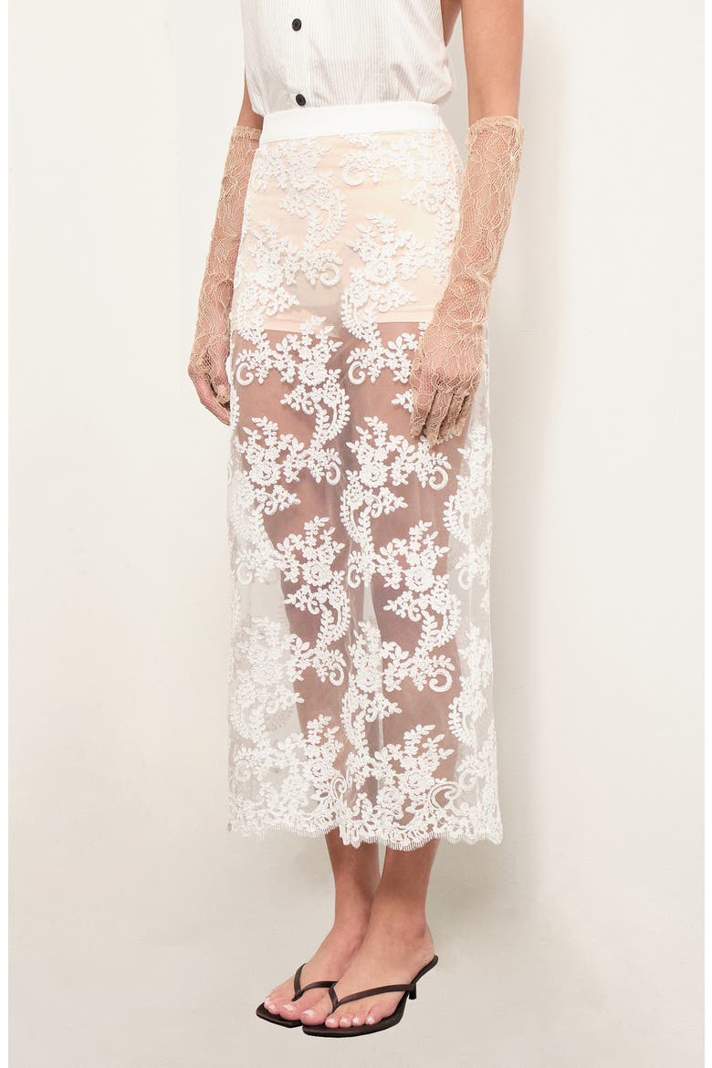 Cora Floral Lace Sheer Mesh Midi Skirt, Alternate, color, WHITE MESH LACE