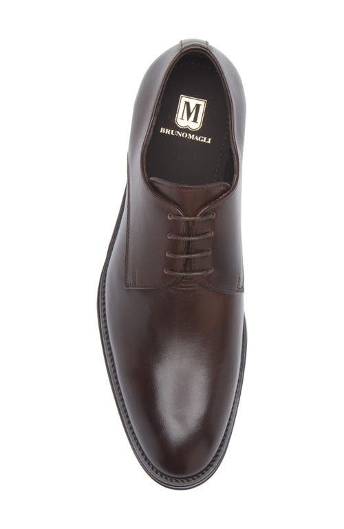 Bruno Magli Cilo Leather Derby In Dark Brown