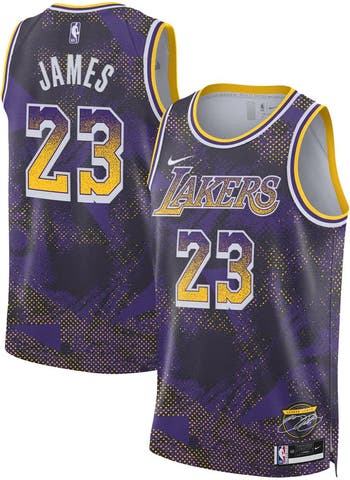 Nike Unisex Nike LeBron James Purple Los Angeles Lakers 2025
