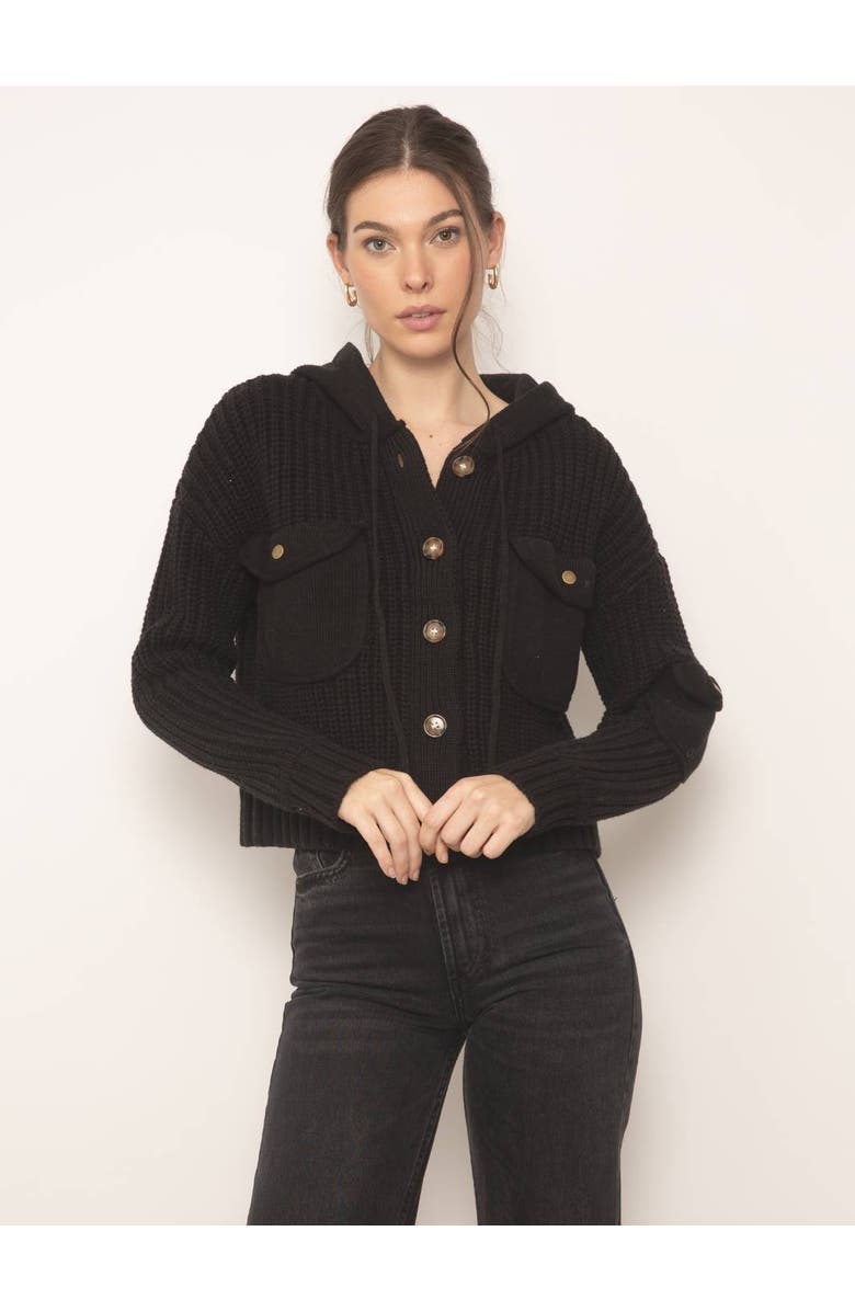 Central Park West Jett Oversized Cropped Hoodie, Main, color, 