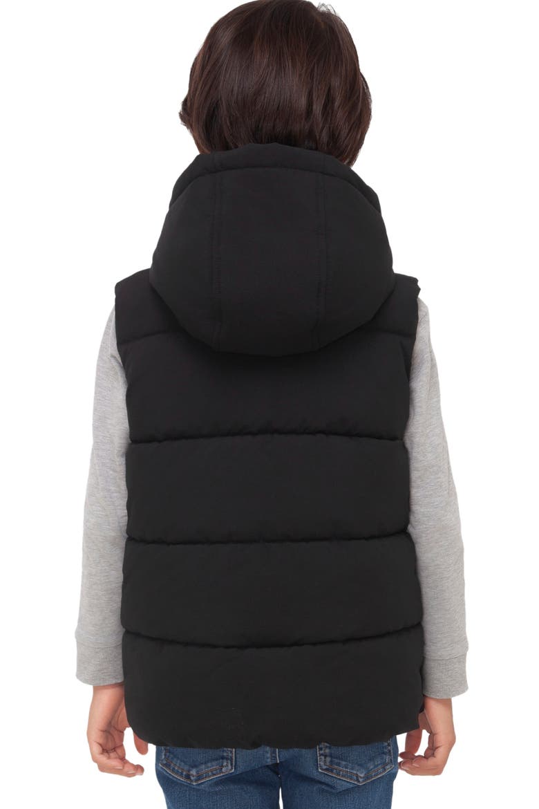 Kids' Everett Hooded Puffer Vest, Alternate, color, Black