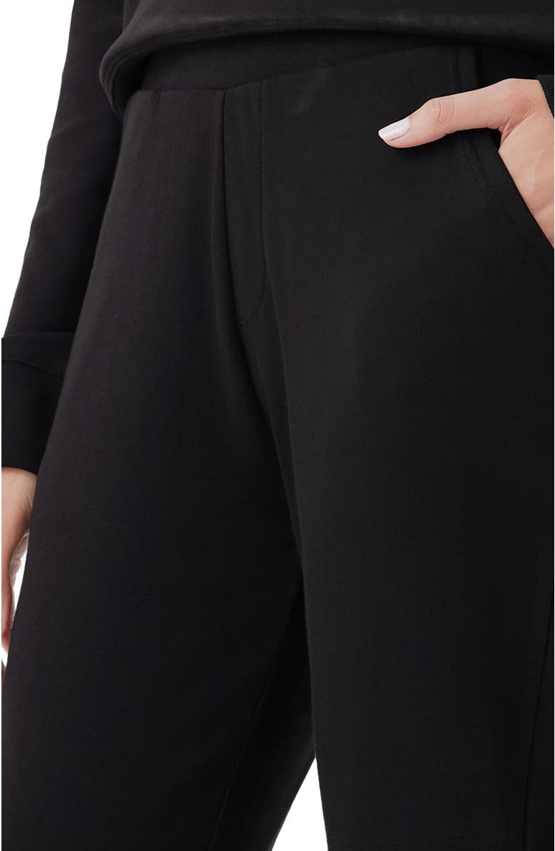 Pact Organic Cotton Airplane Tulip Hem Pant, Alternate, color,