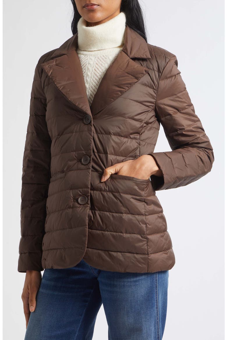Campbell Down Dickey Jacket, Alternate, color, ESPRESSO