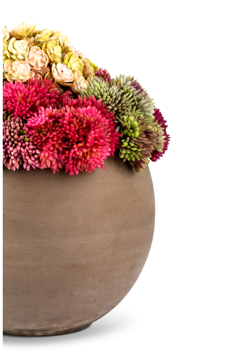 Elias Sedum Arrangement, Alternate, color, Fuchsia Mélange