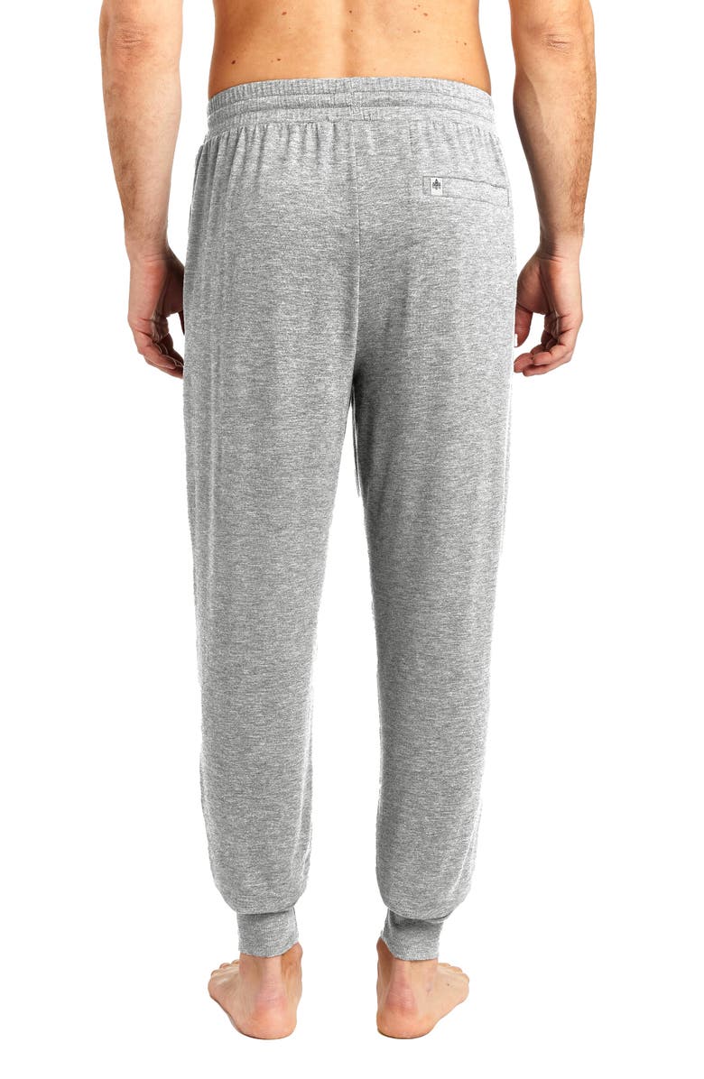 Rainforest Brushed Jersey Lounge Joggers, Alternate, color, 