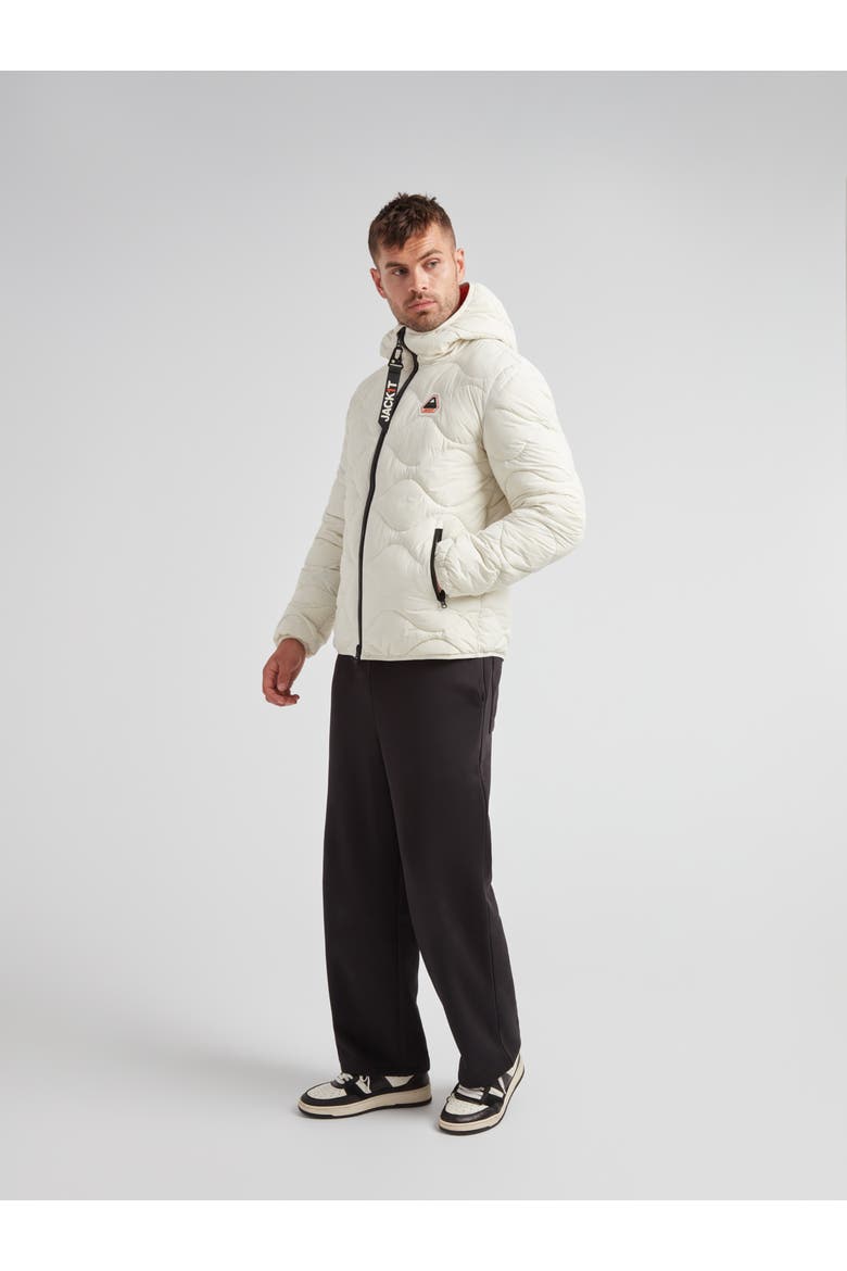 Orb1T Long Sleeve Hooded Jacket, Alternate, color, VINTAGE WHITE