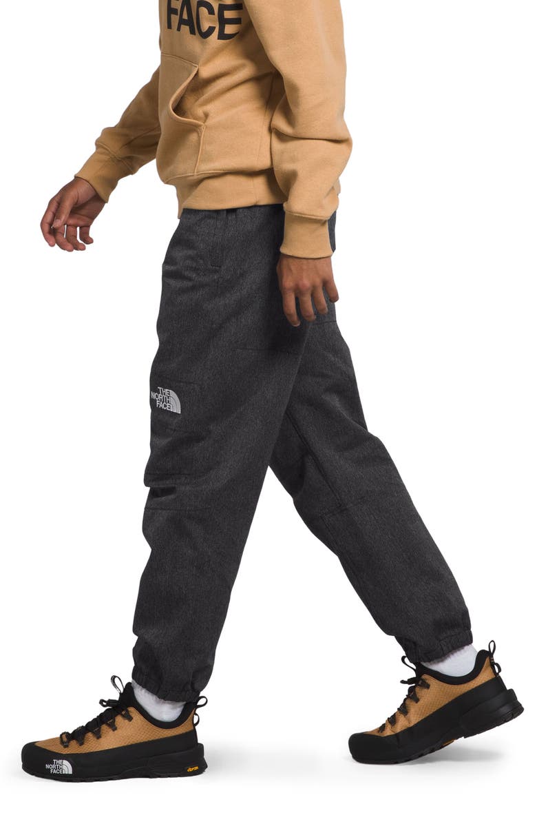 The North Face GTX Mountain Pants, Alternate, color, 