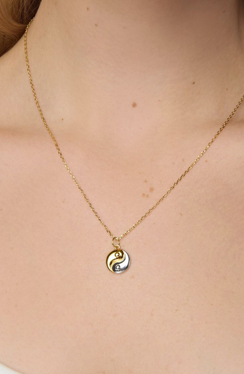 Little Sky Stone Yin Yang Necklace