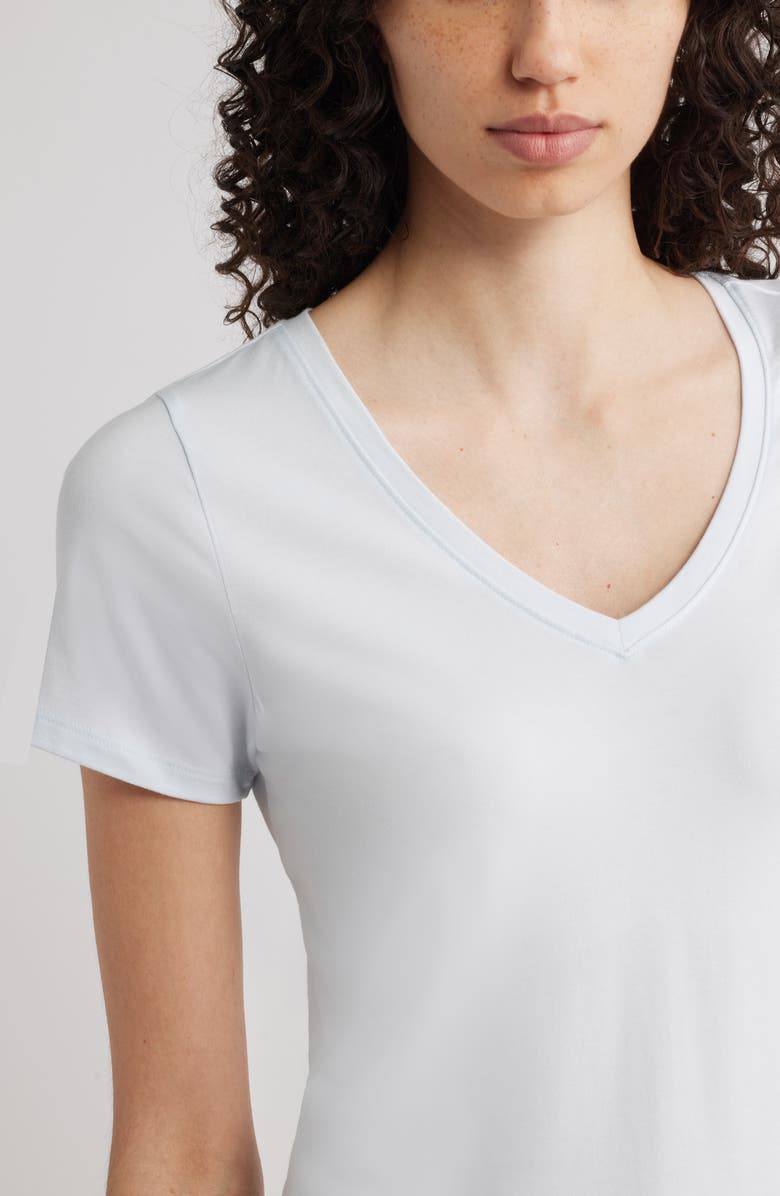 Nordstrom Everyday V-Neck Pima Cotton Blend T-Shirt, Alternate, color, Blue Fade