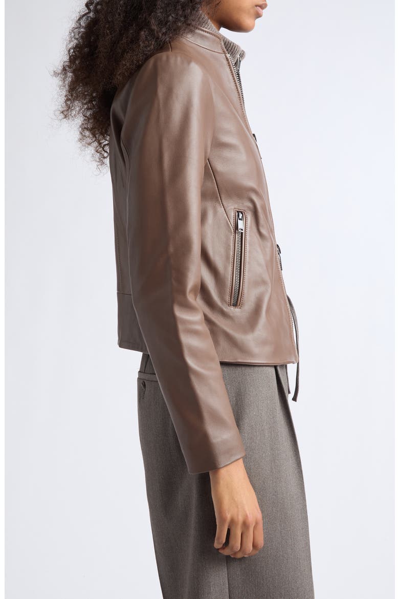 Allie Leather Jacket, Alternate, color, TAUPE NEUTRAL