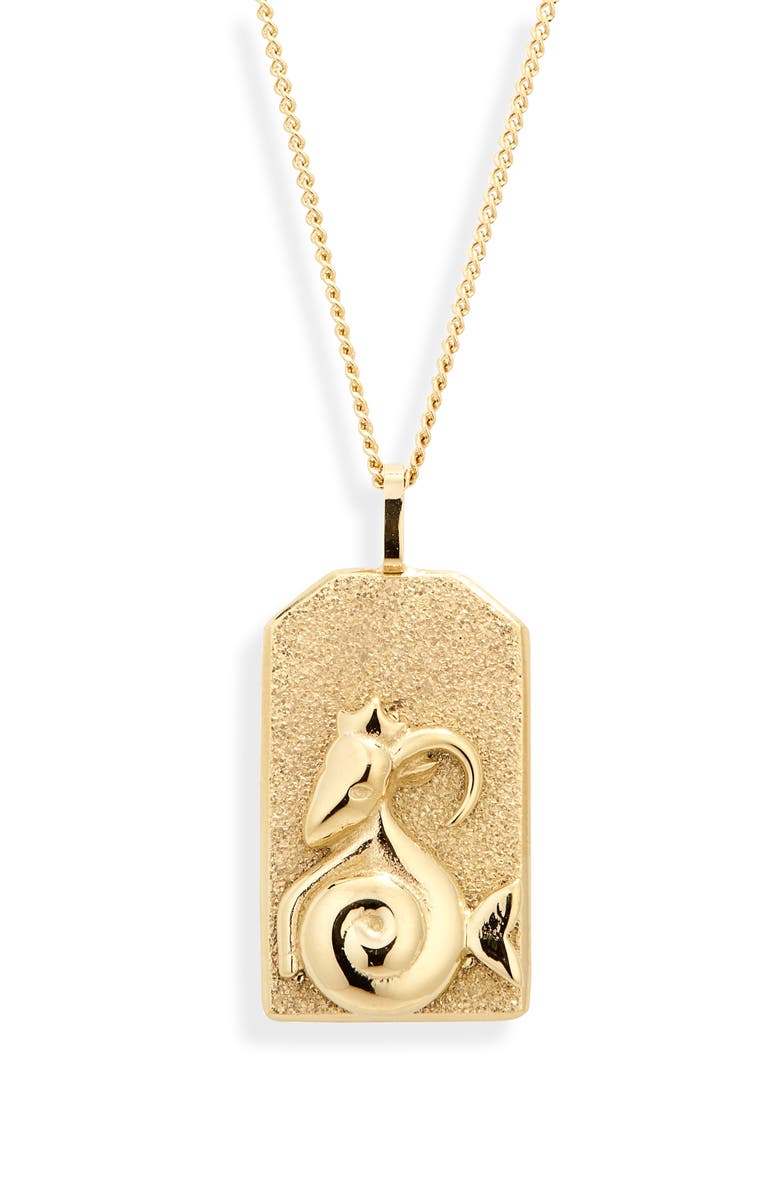 JENNY BIRD Zodiac Pendant Necklace, Main, color, Gold - Capricorn