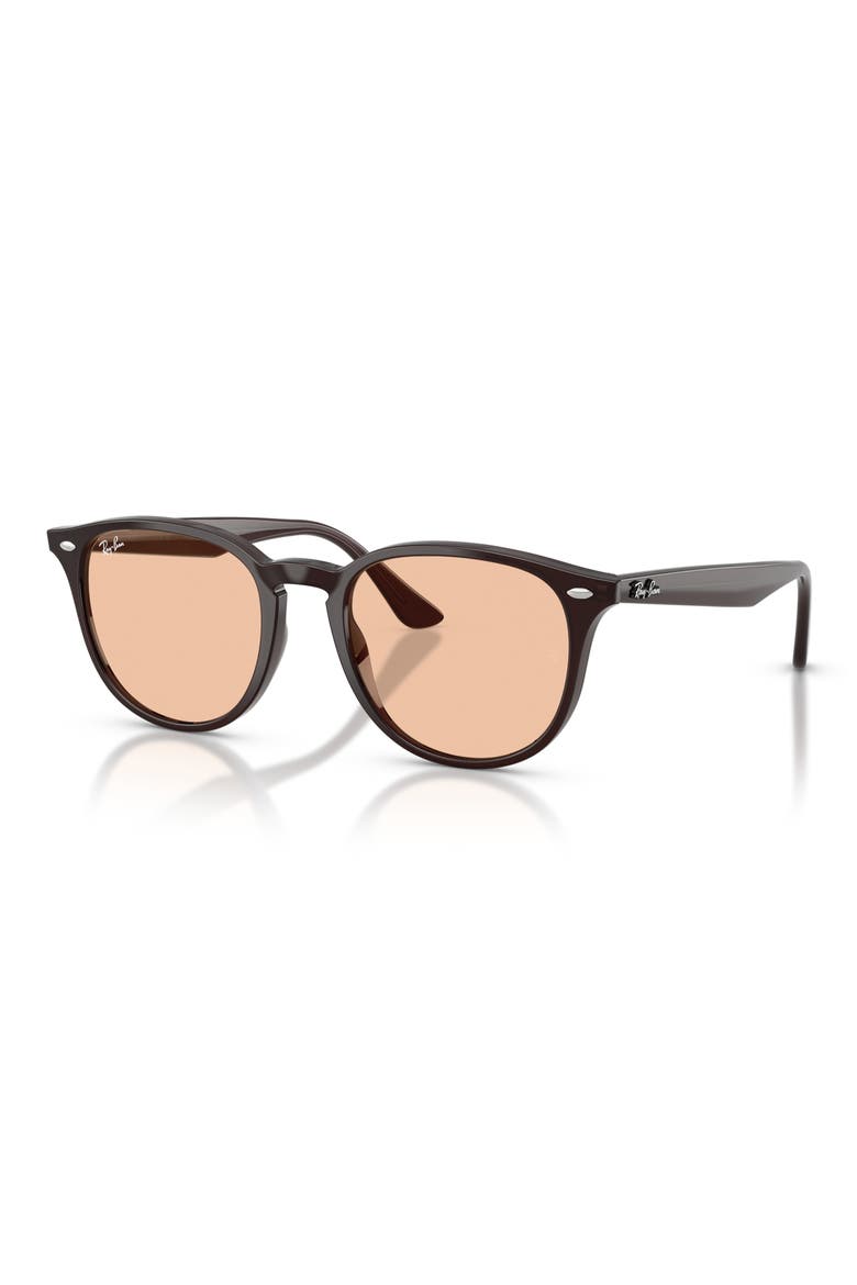 50mm Phantos Sunglasses, Alternate, color, TRANSPARENT BROWN / BROWN