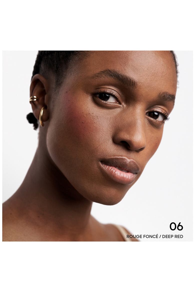 Terracotta Powder Blush, Alternate, color, 06 RED