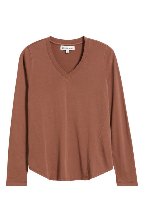 City Blues Beth Long Sleeve T-shirt In Brown