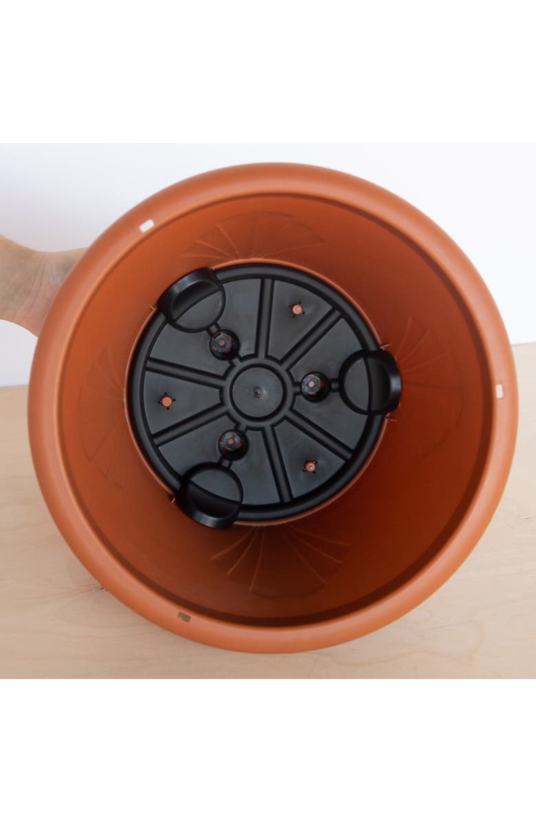 Bloem 13 Inch Lucca Self Watering Hanging Basket, Alternate, color, Brown