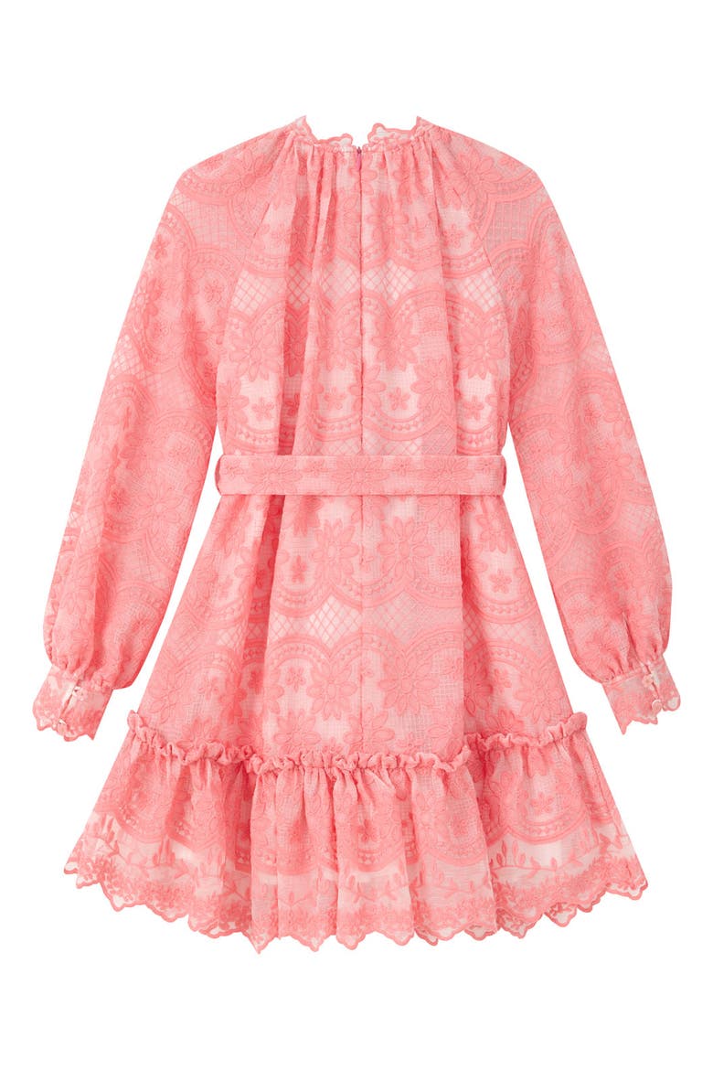 Kaia Lace Embroidered Mini Dress, Alternate, color, Peach