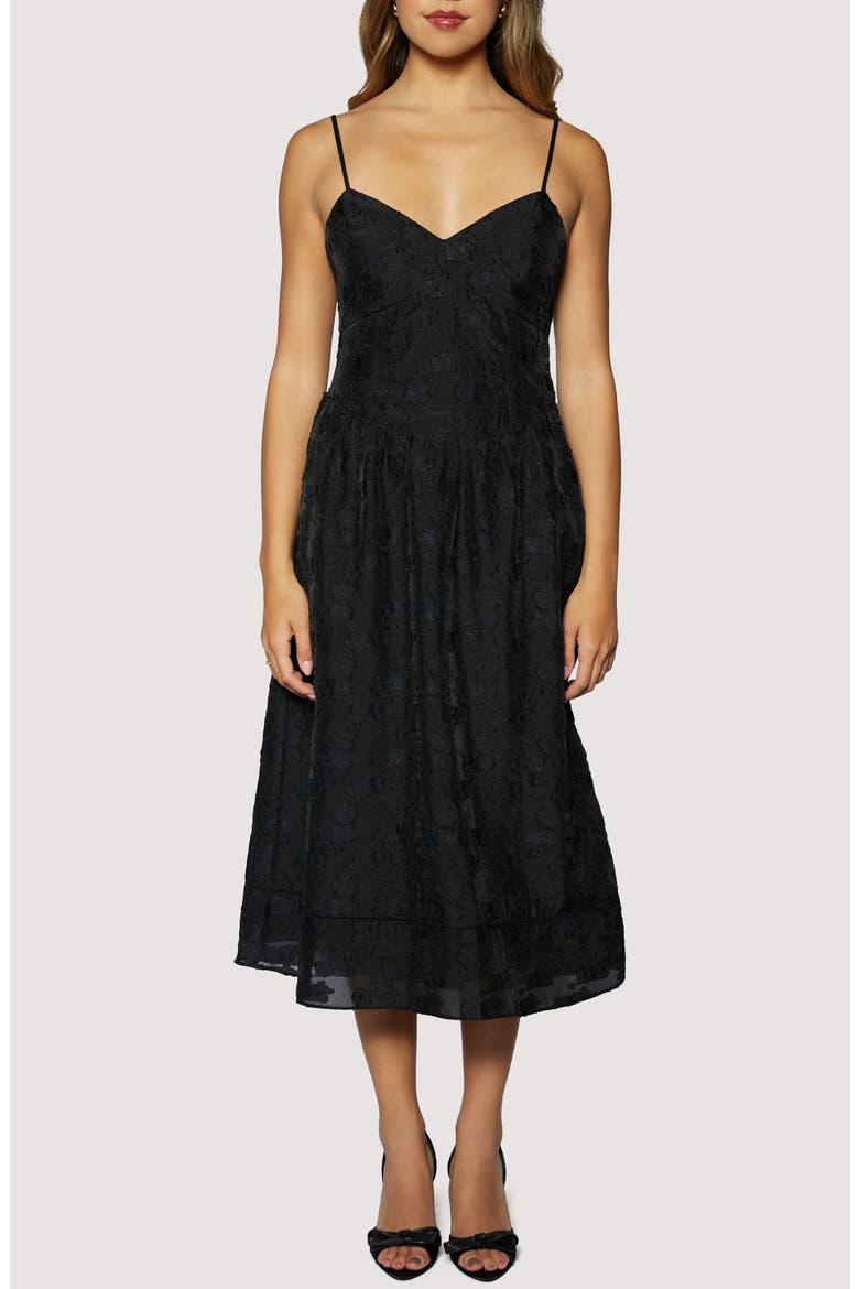 Petal Veil Jacquard Dress, Main, color, BLACK
