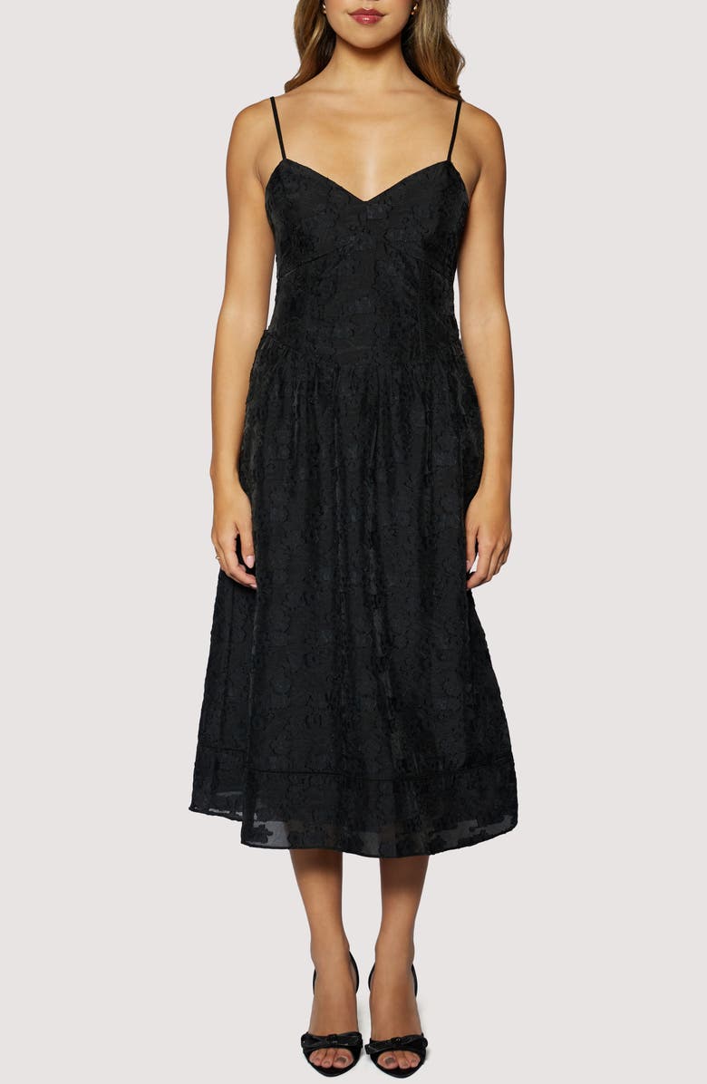 Lost + Wander Petal Veil Jacquard Dress, Main, color, Black