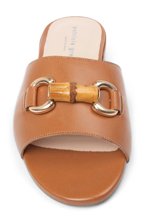 Shop Patricia Green Charlie Slide Sandal In Cognac Leather