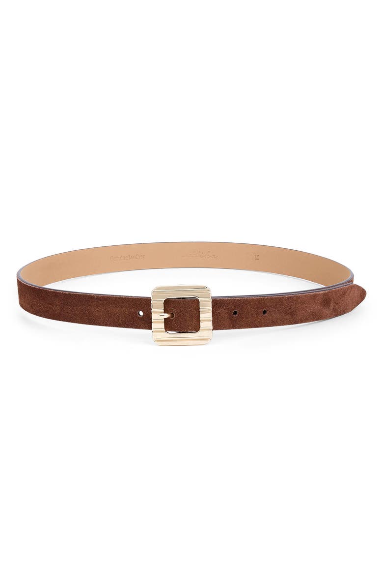 Ettika Suede Belt, Main, color, Warm Truffle