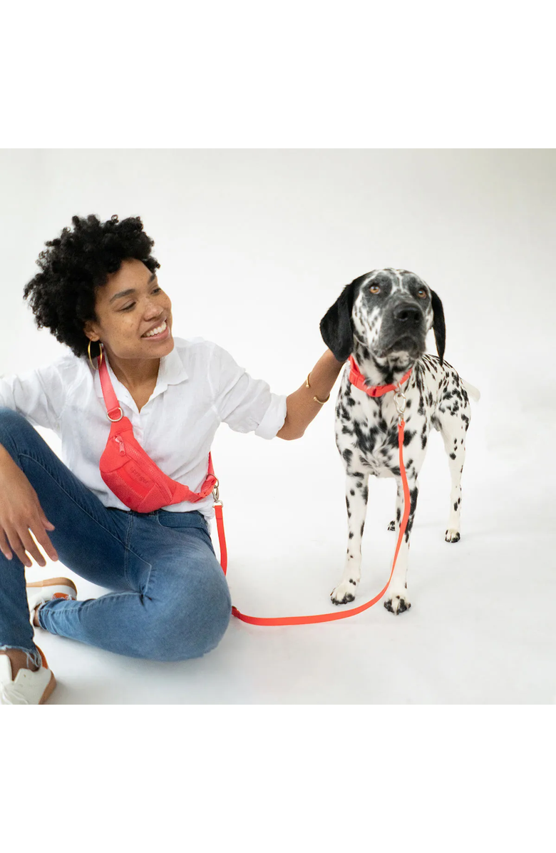 Uncommon Goods 4-in-1 Hands-Free Dog Walking Leash Bag by Springer Pets, Alternate, color, Bright Red