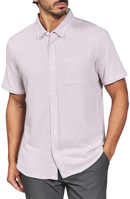 7 Diamonds Keaton Stripe Seersucker Short Sleeve Button-up Shirt In Purple