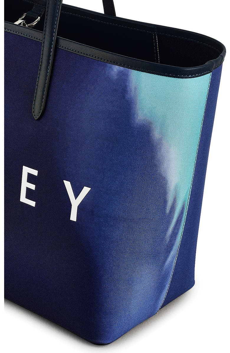 Radley Southwell Gardens Stripe Large Tote Bag, Alternate, color,