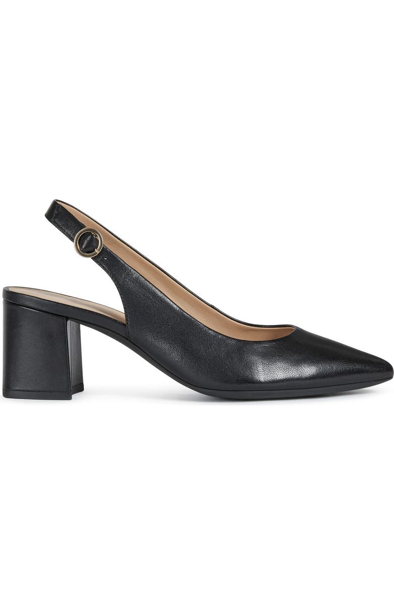 Geox Bigliana Pointed Toe Slingback Pump, Alternate, color,