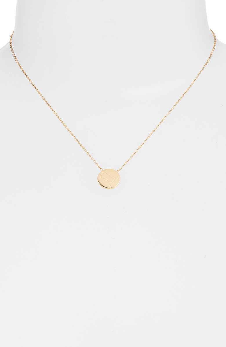 Knotty Zodiac Pendant Necklace, Alternate, color, Gold/Sagg