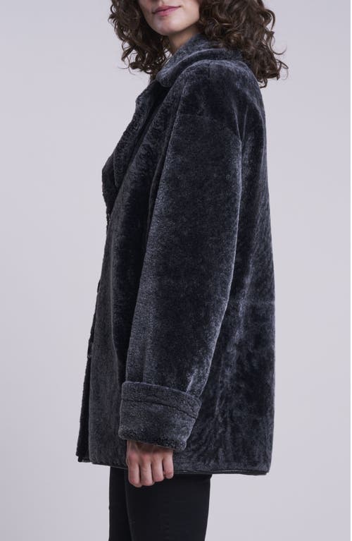 Blue Duck Genuine Shearling In Blue