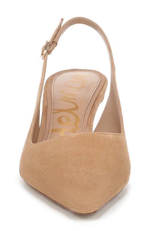 Sam Edelman Bianka Pointed Toe Slingback Pump In Brown