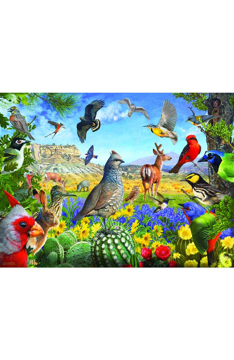 Sunsout Texas Birds 1000 piece Jigsaw Puzzle for Adults, Alternate, color, Multicolor