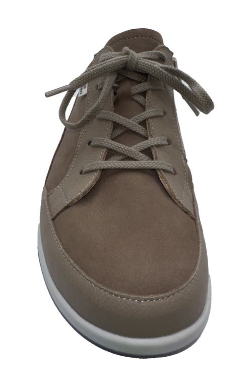 Finn Comfort Prato Sneaker In Sesame/white