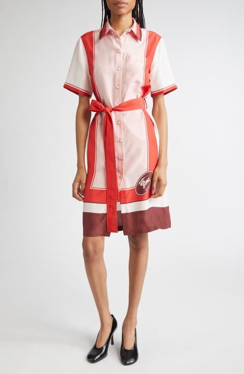 Scarf Print Short Sleeve Silk Shirtdress