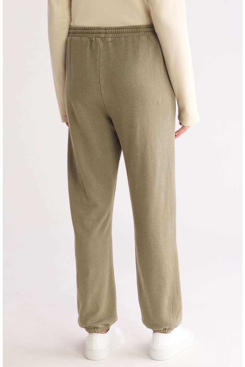 Haze Skinny Beach Terry Joggers, Alternate, color, DRIED SAGE