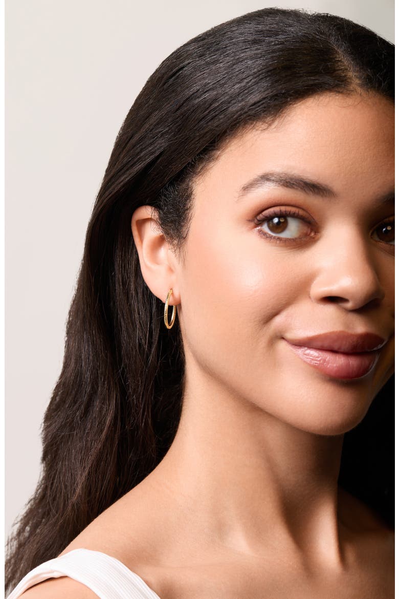 14K Gold Twisted Rope Hoop Earrings, Alternate, color, 14K YELLOW GOLD