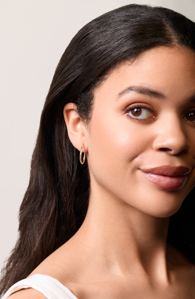 Bony Levy 14K Gold Twisted Rope Hoop Earrings, Alternate, color, 14K Yellow Gold