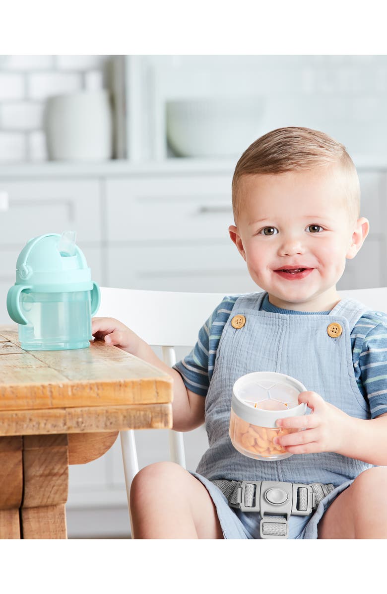 Skip Hop 2-in-2 Sip Cup Set, Alternate, color, 