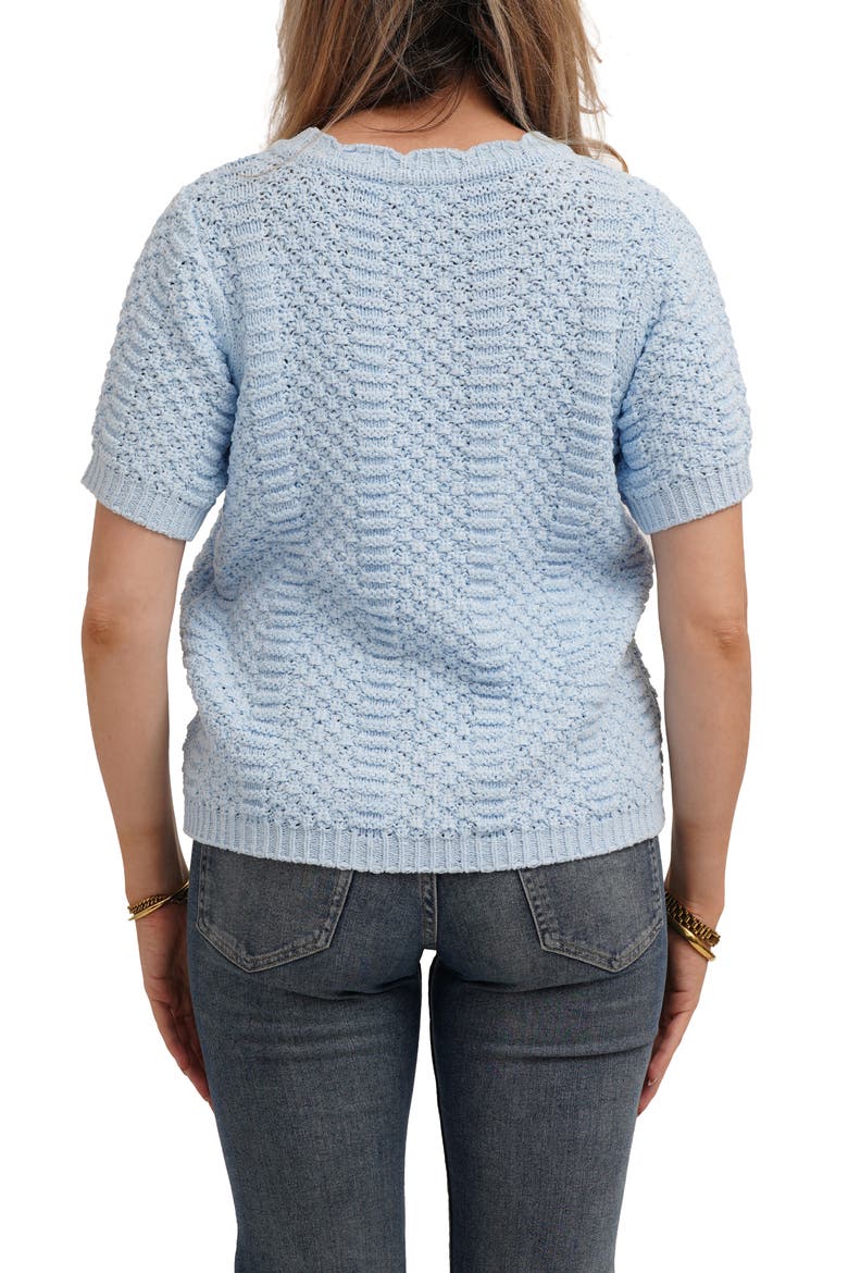 Short Sleeve Textured Crewneck Sweater, Alternate, color, ICE SKY