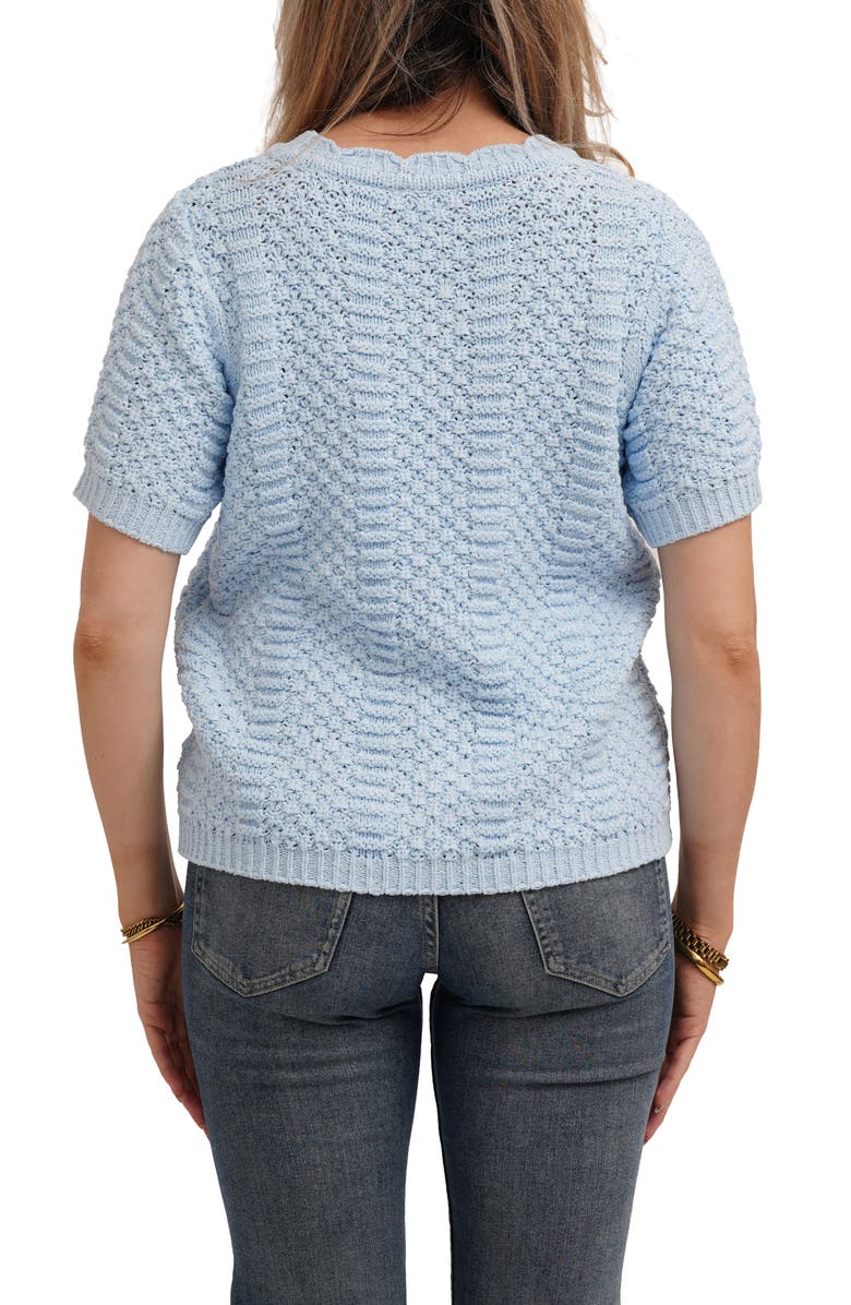 CYRUS Short Sleeve Textured Crewneck Sweater, Alternate, color, Ice Sky