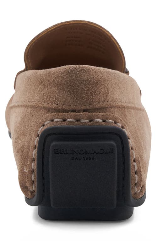 Bruno Magli Parker Bit Loafer In Brown