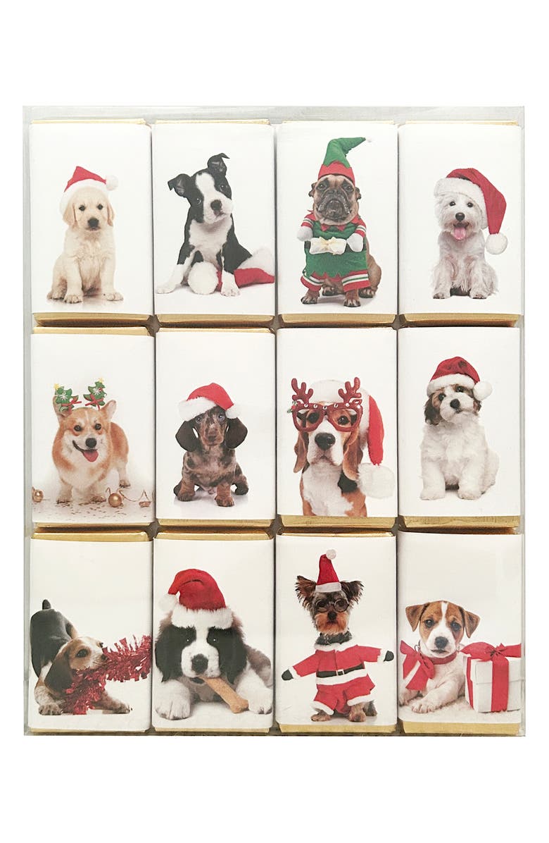 House of Dorchester 12-Piece Christmas Dogs Mini Milk Chocolate Bars, Main, color, 