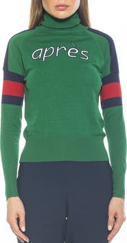 Alexia Admor Jenni Ski Turtleneck Sweater